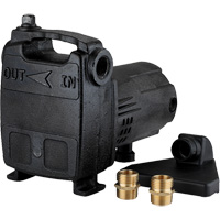 Portable Cast Iron Transfer Pump, 115 V, 950 GPH, 1/2 HP DC841 | Johnston Equipment