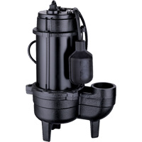 Cast Iron Sewage Pump, 120 V, 9.5 A, 6000 GPH, 1/2 HP DC850 | Johnston Equipment