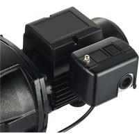 Dual Voltage Cast Iron Shallow Well Jet Pump, 115 V/230 V, 1100 GPH, 1 HP DC853 | Johnston Equipment