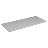 Extra Cabinet Shelf, 36" x 18", 200 lbs. Capacity, Steel, Light Grey FL645 | Johnston Equipment