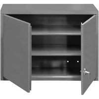 Wall-Mounted Cabinet, 27" H x 29-7/8" W x 13-11/16" D, 2 Shelves, Steel, Grey FL992 | Johnston Equipment