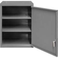 Wall-Mounted Cabinet, 27" H x 13-11/16" W x 18" D, 2 Shelves, Steel, Grey FL997 | Johnston Equipment