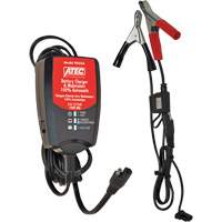 Automatic 1 Amp 6/12 Volt Battery Maintainer/Charger FLU056 | Johnston Equipment