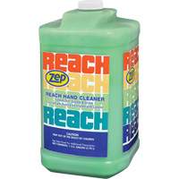 Reach Extra Heavy-Duty Hand Cleaner, Pumice, 3.78 L, Jug, Scented JL659 | Johnston Equipment