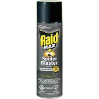 Raid<sup>®</sup> Max<sup>®</sup> Spider Blaster Bug Killer Insecticide, 500 g, Aerosol Can, Solvent Base JM270 | Johnston Equipment