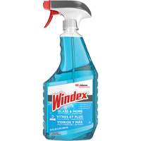 Windex<sup>®</sup> Glass Cleaner with Ammonia-D<sup>®</sup>, Trigger Bottle JO155 | Johnston Equipment