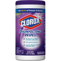Disinfecting Wipes, 75 Count JO235 | Johnston Equipment