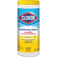 Disinfecting Wipes, 35 Count JO323 | Johnston Equipment