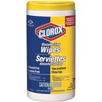 Disinfecting Wipes, 75 Count JO242 | Johnston Equipment