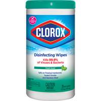 Disinfecting Wipes, 75 Count JO324 | Johnston Equipment