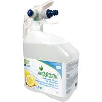 Concentrated Glass & Multi-Surface Cleaner, 4 L, Jug JP115 | Johnston Equipment