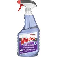 Windex<sup>®</sup> Ammonia-Free Multi-Surface Cleaner, Trigger Bottle JP463 | Johnston Equipment