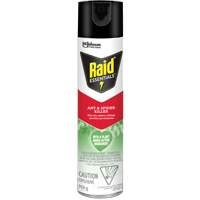 Raid<sup>®</sup> Essentials™ Ant & Spider Killer, 350 g, Aerosol Can JP467 | Johnston Equipment
