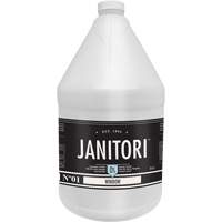 Janitori™ 01 Window Cleaner, Jug JP835 | Johnston Equipment