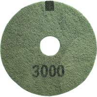 3000 Grit Floor Pad, 14", Scrubbing/Stripping, Black JQ203 | Johnston Equipment