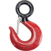 Black Eye<sup>®</sup> Wire Rope Hoist Hook LW348 | Johnston Equipment
