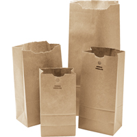 Paper Bags, Paper, 5-1/4" W x 10-1/2" L NG393 | Johnston Equipment