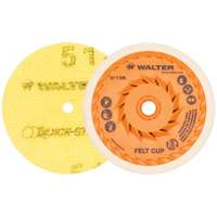 Quick-Step™ Instant Polish Discs, 5" Dia. NIK687 | Johnston Equipment