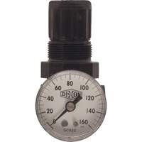 Series 1 Miniature Regulator, 1/8" NPT, 100 psi Max. PSI, Standard NJE836 | Johnston Equipment