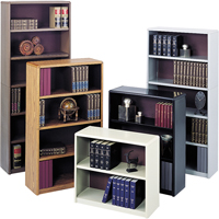 Value Mate<sup>®</sup> Steel Bookcase OE174 | Johnston Equipment