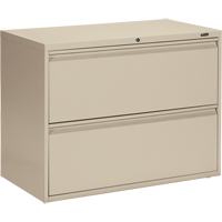 Lateral Cabinet, Steel, 2 Drawers, 36" W x 19-1/4" D x 27-31/100" H, Beige OP326 | Johnston Equipment