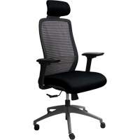 Chaise de bureau ajustable série Era<sup>MC</sup> avec appui-tête, Tissu/Mailles, Noir, Capacité 275 lb OQ968 | Johnston Equipment