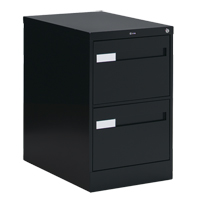 Vertical Filing Cabinet with Recessed Drawer Handles, 2 Drawers, 18.15" W x 26.56" D x 29" H, Black OTE611 | Johnston Equipment