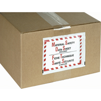 Packing List Envelopes, 6-1/2" L x 4-7/8" W, Backloading Style PB439 | Johnston Equipment
