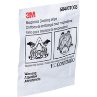 Respirator Cleaning Wipes, Wipes SAI530 | Johnston Equipment