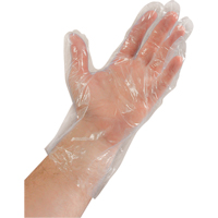 Disposable Gloves, Large, Polyethylene, 0.02-mil, Powder-Free, Clear SAI935 | Johnston Equipment