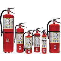 Extincteur d'incendie, ABC, Capacité 30 lb SED110 | Johnston Equipment