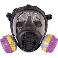 North<sup>®</sup> RU6500 Series Full Facepiece Respirator, Silicone, Large SDN453 | Johnston Equipment