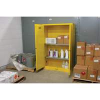 Flammable Storage Cabinet, 45 gal., 2 Door, 43" W x 65" H x 18" D SDN647 | Johnston Equipment