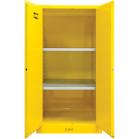Flammable Storage Cabinet, 60 gal., 2 Door, 34" W x 65" H x 34" D SDN648 | Johnston Equipment