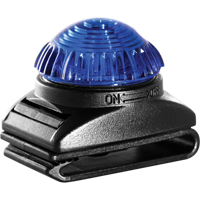 Guardian Warning Light, Continuous/Flashing, Blue SDS902 | Johnston Equipment