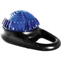 TAG-IT Guardian Warning Light, Continuous/Flashing, Blue SDS908 | Johnston Equipment
