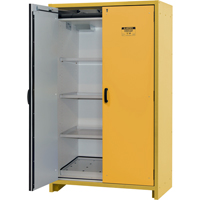30-Minute EN Safety Storage Cabinet, 45 gal., 2 Door, 45.83" W x 76.65" H x 24.21" D SDS991 | Johnston Equipment