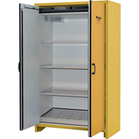 30-Minute EN Safety Storage Cabinet, 45 gal., 2 Door, 45.83" W x 76.65" H x 24.21" D SDS991 | Johnston Equipment