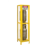 Gas Cylinder Cabinets, 2 Cylinder Capacity, 17" W x 17" D x 69" H, Yellow SEB838 | Johnston Equipment