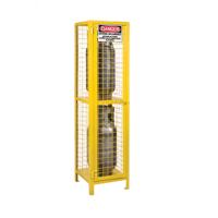 Gas Cylinder Cabinets, 2 Cylinder Capacity, 17" W x 17" D x 69" H, Yellow SEB838 | Johnston Equipment