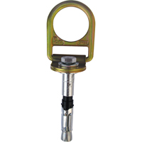 PRO™ Concrete D-ring Anchor with Bolt, Concrete/D-Ring, Permanent Use SEB928 | Johnston Equipment