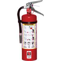 Extincteur d'incendie, ABC, Capacité 5 lb SED109 | Johnston Equipment