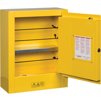 Sure-Grip<sup>®</sup> EX Mini Flammable Safety Cabinet, 2 Gal., 1 Door, 17" W x 22" H x 8" D SEG862 | Johnston Equipment
