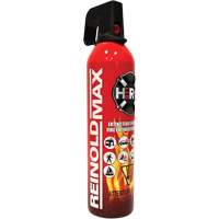 Fire Extinguisher, ABC/K, 2 lbs. Capacity SGC461 | Johnston Equipment