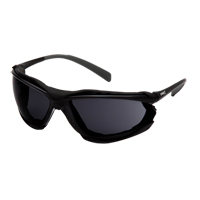 Proximity Safety Glasses, Grey/Smoke Lens, Anti-Fog Coating, ANSI Z87+/CSA Z94.3 SGI170 | Johnston Equipment