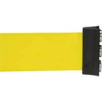 Wall Mount Barrier with Magnetic Tape, Steel, Screw Mount, 12', Yellow Tape SGR019 | Johnston Equipment