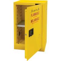 Flammable Storage Cabinet, 12 gal., 1 Door, 23" W x 35" H x 18" D SGU463 | Johnston Equipment