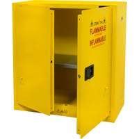 Flammable Storage Cabinet, 30 gal., 2 Door, 43" W x 44" H x 18" D SGU465 | Johnston Equipment