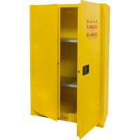 Flammable Storage Cabinet, 45 gal., 2 Door, 43" W x 65" H x 18" D SGU466 | Johnston Equipment
