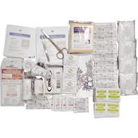 Shield™ Basic First Aid Kit Refill, CSA Type 2 Low-Risk Environment, Small (2-25 Workers) SHJ863 | Johnston Equipment